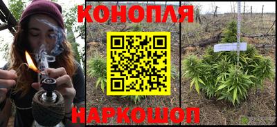 молекула духа Шебекино